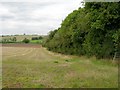 SP2361 : The edge of Heath End Plantation by David P Howard