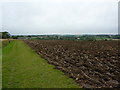 Ploughed field with set-aside strip