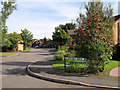 Looking north-east up Torville Drive