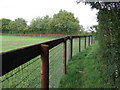 Paddock Fencing