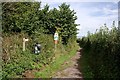 Footpath to the Coast