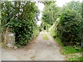 Sedbury : track from Buttington Hill to houses