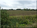 Farmland at Lawshall Green, Suffolk