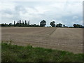 Field of stubble