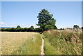 Footpath to New Town, West Malling