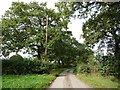 Track to Oak Tree Farm