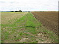 Footpath towards Harringe Lane