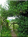 Kissing gate into next field, near Eymore Wood