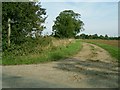 Bridleway by Chadacre Park