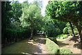 Footpath to The Avenue from Farnham Lane