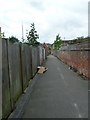 Path from Berkley Road to Burton Road