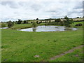 SJ5806 : Pond in the fields near Dryton by Richard Law