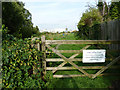 Sincil Bank allotments