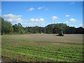 Ploughing at Bridge farm