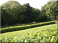 Terraced gardens and woodland at the Bagshaw Museum