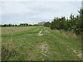 Farm track to Monks Horton Farm 