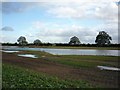 Heslington East Lake