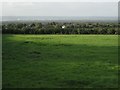 Paddock near Cleve Wood Farm