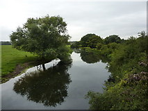 TM0633 : The River Stour by Peter Barr