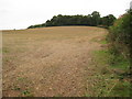 Arable field near Whitfield Estate