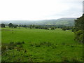 Pasture off Heber