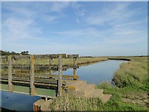 TM4974 : Footbridge across the Dunwich River by Adrian S Pye