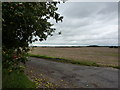 Farmland and squashed apples