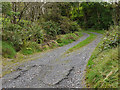 Footpath to Llanddewi Brefi