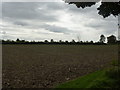 Suffolk farmland