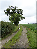 TF0069 : Track off Heighington Lane by Richard Croft