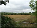 View towards Itchington Holt