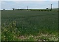 Farmland near Woodthorpe