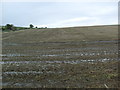 Farmland near Auchininna