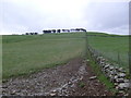 Farmland near Westfield