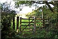 A kissing gate at the end of Stocklands Lane