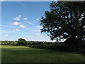 Fields near Pendoylan