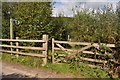 A gate into a fenced off corner of a field exited by a stile