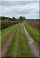 Track towards Saundby Park Farm