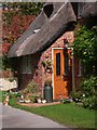 Cat and cottage in Kings Somborne