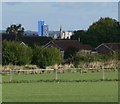 View towards Leicester city centre