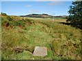 NR8491 : Footpath to Dunadd by Patrick Mackie