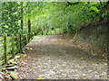 Track to Dolaucothi Farm