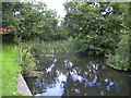 Spur off the Leeds-Liverpool Canal, Wheelton, Lancashire