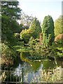 Homestead Park Lily Pond - Water End