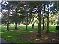 Homestead Park Picnic Area & Wildflower Meadow - Water End