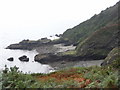 Coastline south-west of West Portholland