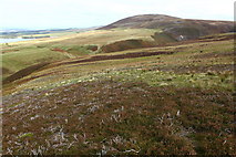 NT1762 : Black Hill from Hare Hill by Calum McRoberts