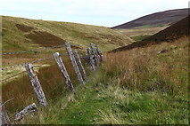 NT1762 : Old fenceline in the Green Cleugh by Calum McRoberts