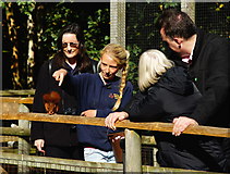 TQ3643 : Red Squirrel Talk, at the British Wildlife Centre, Newchapel, Surrey by Peter Trimming