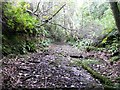 Disused railway line, Culzean